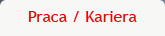 praca / kariera